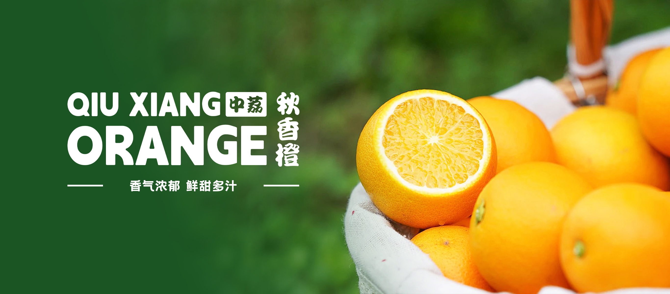 秋香橙1